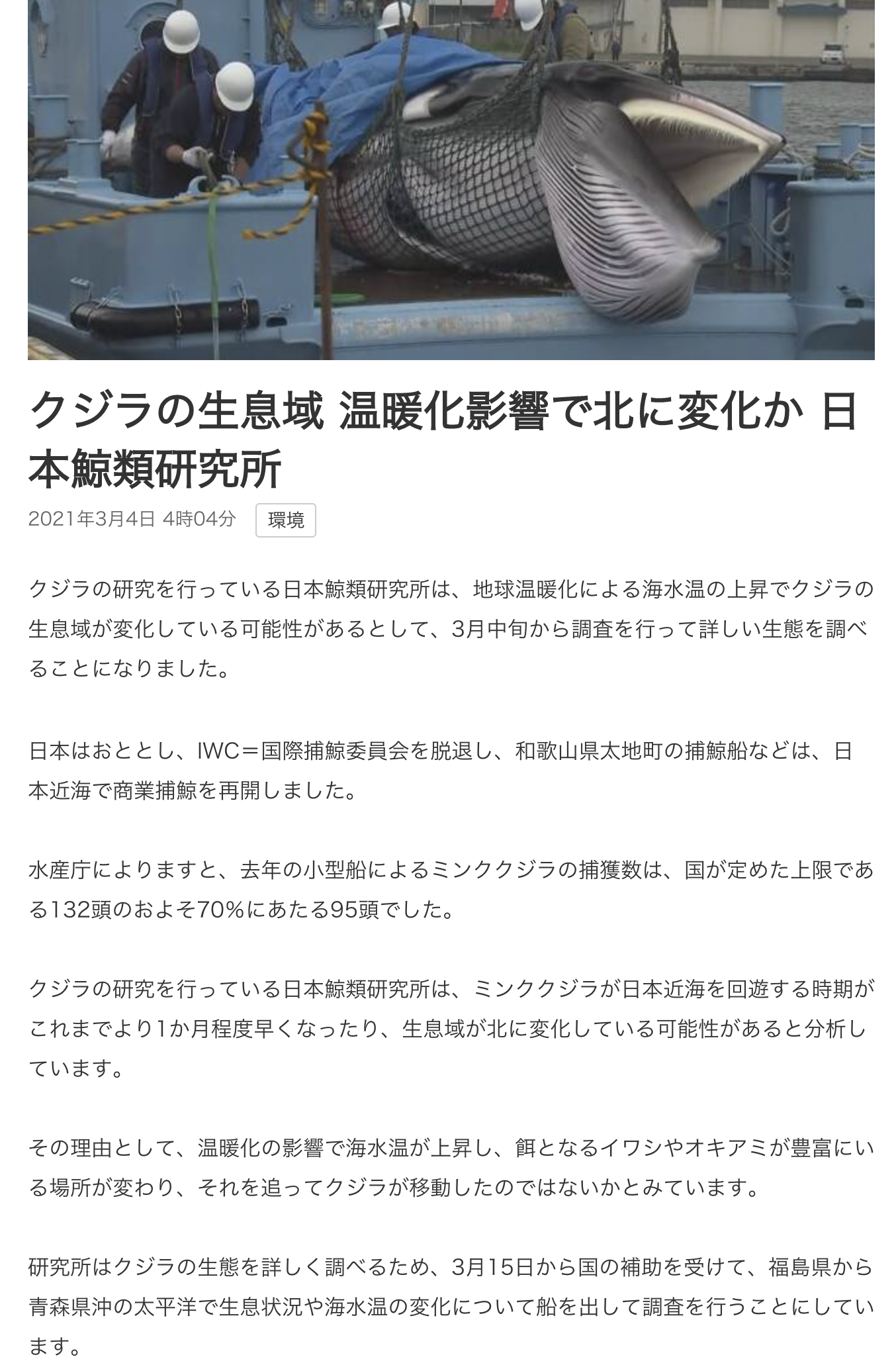 クジラの生息域 温暖化影響で北に変化で 日本鯨類研究所 - 沖縄の太陽光発電・蓄電池・オール電化ならトーラス株式会社